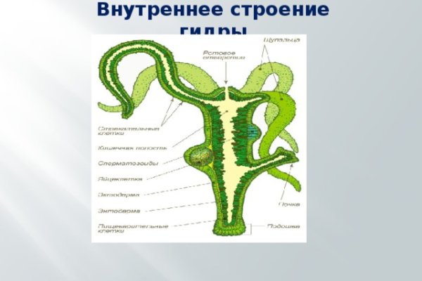 Кракен купить гашиш