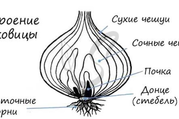 Кракен почему не заходит